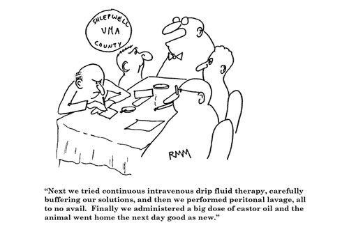 'Next we tried continuous intravenous drip fluid therapy...'