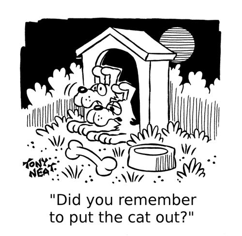 'Did you remember to put the cat out?'
