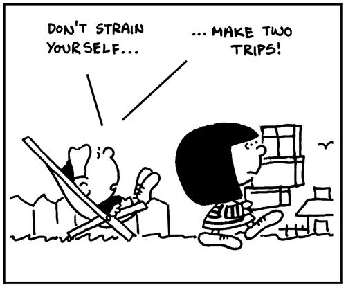 'Don't strain yourself, make two trips.'