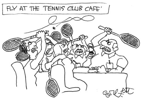 Fly at the tennis club cafe.