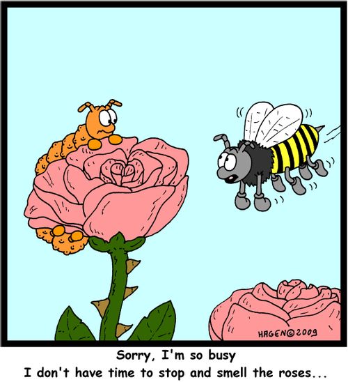 'Sorry, I'm so busy I don't have time to stop and smell the roses...'