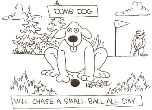 Dumb dog...Will chase a small ball all day..