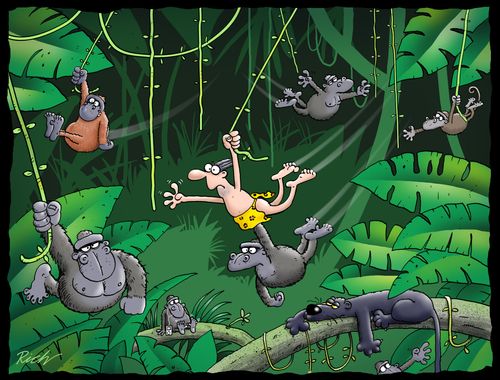 Swinging through the jungle.