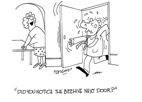 'Did you notice the beehive next door?'