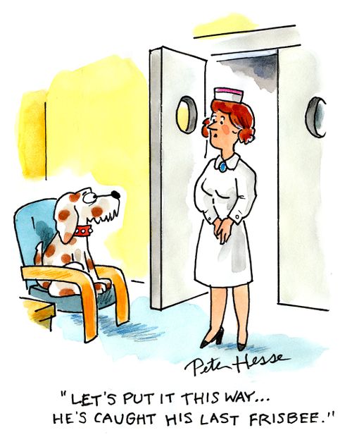 'Let's put it this way . . .he's caught his last frisbee.'