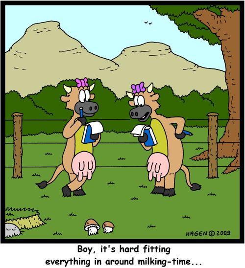 'Boy, it's hard fitting everything in around milking-time...'