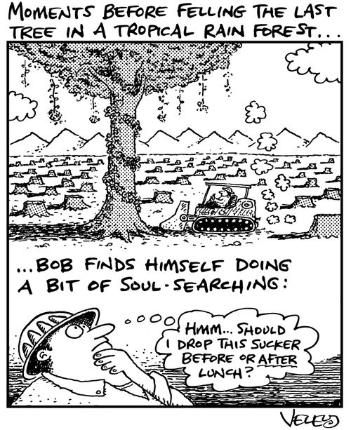 Before felling the last tree in a tropical rain forest, Bob finds himself doing a bit of soul-searching.