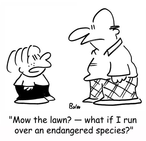 'Mow the lawn? - what if I run over an endangered species?'