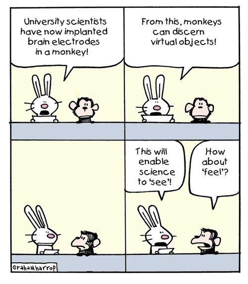 'University scientists have now implanted brain electrodes in a monkey.'