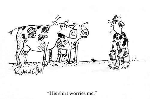 'His shirt worries me.'