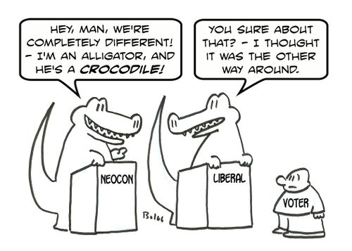 'Hey, man, we're completely different! - I'm an alligator, and he's a crocodile!'