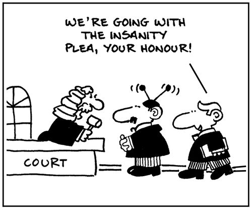 'We're going with the insanity plea, your honour.'