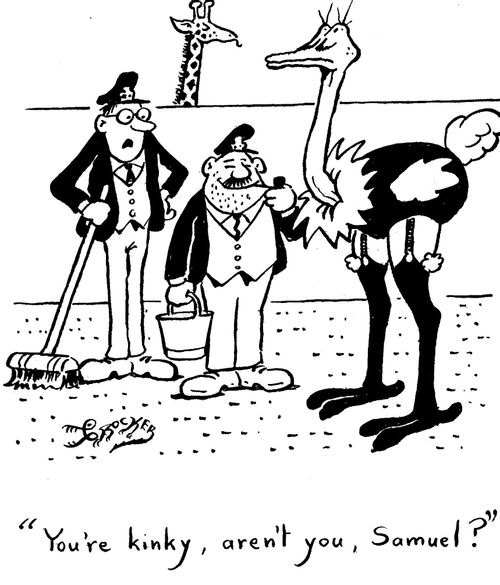 'You're kinky, aren't you, Samuel?'