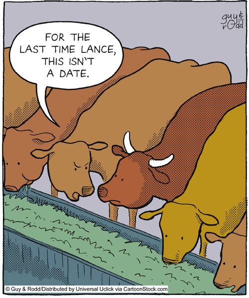'For the last time, Lance, this isn't a date,'