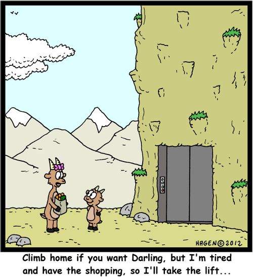 'Climb home if you want Darling, but I'm tired and have the shopping, so I'll take the lift...'