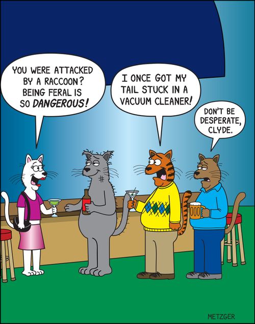 'You were attacked by a raccoon? Being feral is so DANGEROUS!'