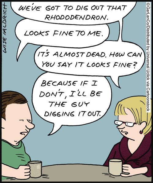 'We've got to dig out that rhododendron. . . It's almost dead. How can you say it looks fine?'