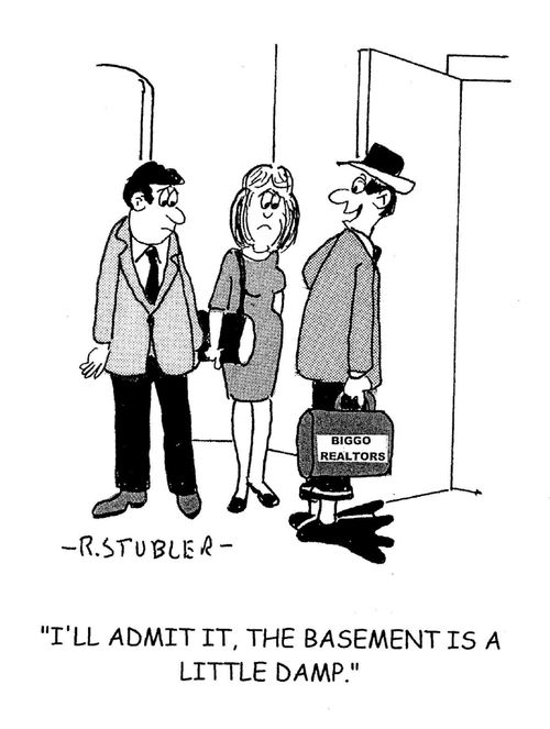 'I'll admit it, the basement is a little damp.'