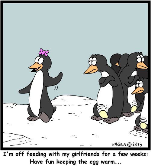 'I'm off feeding with my girlfirends for a few weeks: Have fun keeping the egg warm...'
