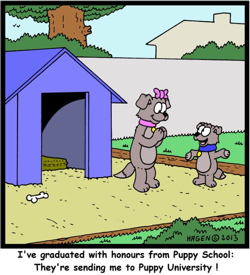 'I've graduated with honours from Puppy School: They're sending me to Puppy University !'