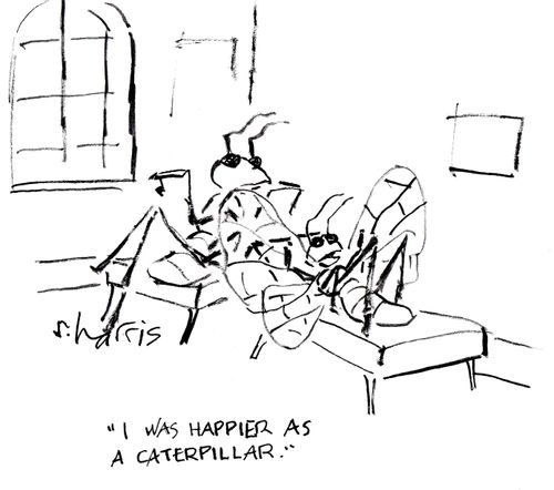'I was happier as a caterpillar'