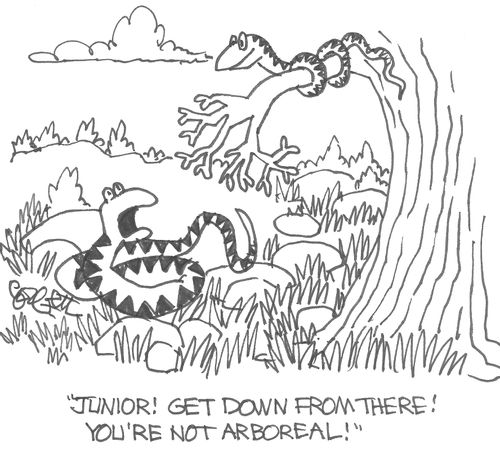 'Junior! Get down from there! You're not arboreal!'       