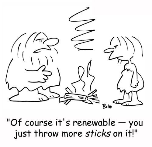 'Of course it's renewable -- you just throw more sticks on it!'