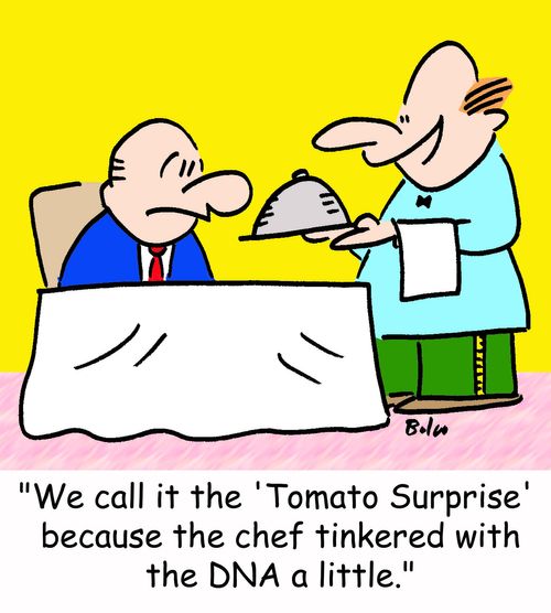 'We call it the 'Tomato Surprise' because the chef tinkered with the DNA a little.'