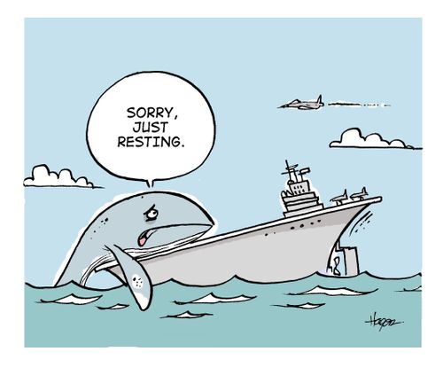 'Sorry, just resting.'