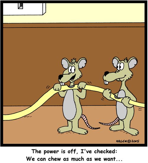 The power is off, I've checked: We can chew as much as we want...