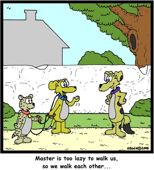 'Master is too lazy to walk us, so we walk each other...'