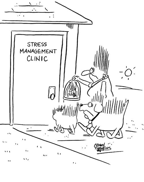 Woman and pets with hair sticking straight up all enter Stress Management Clinic.