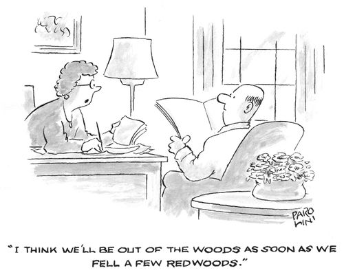 'I think we'll be out of the woods as soon as we fell a few redwoods.'