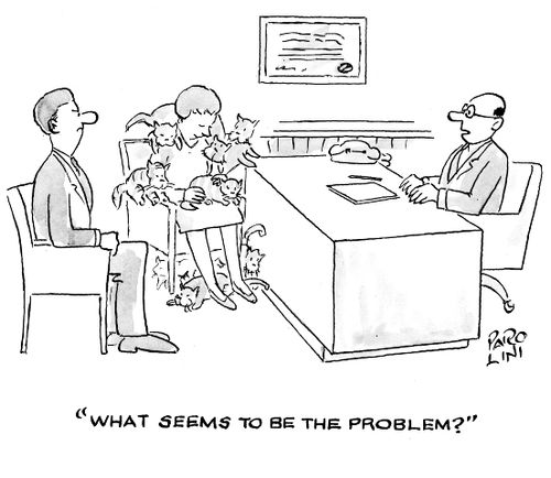 'What seems to be the problem?'