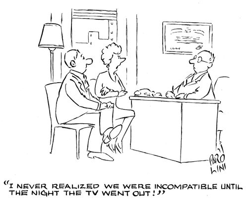 'I never realized we were incompatible unitl the night the TV went out.'