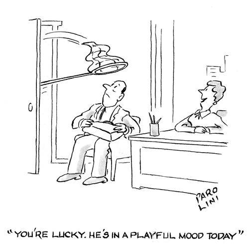 'You're in luck. He's in a playful mood today.'