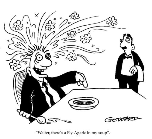 'Waiter, there's a Fly-Agaric in my soup.'
