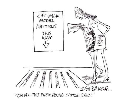'Oh no...The first round cattle grid!'