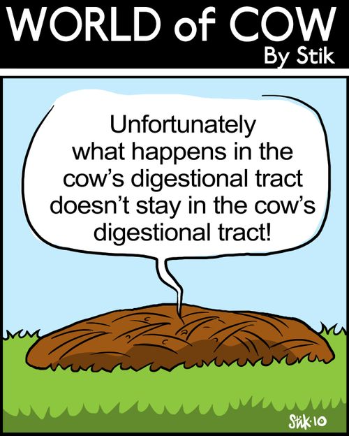 Unfortunately what happens in the cow's digestional tract doesn't stay in the cow's digestional tract!