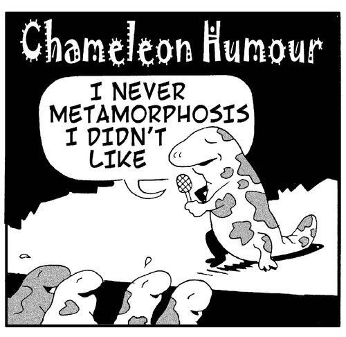 Chameleon humor...'I never metamorphosis I didn't like...'