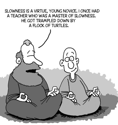 'Slowness is a virtue, young novice. I Once had a teacher who was a master of slowness. He got trampled down by a flock of turtles.'