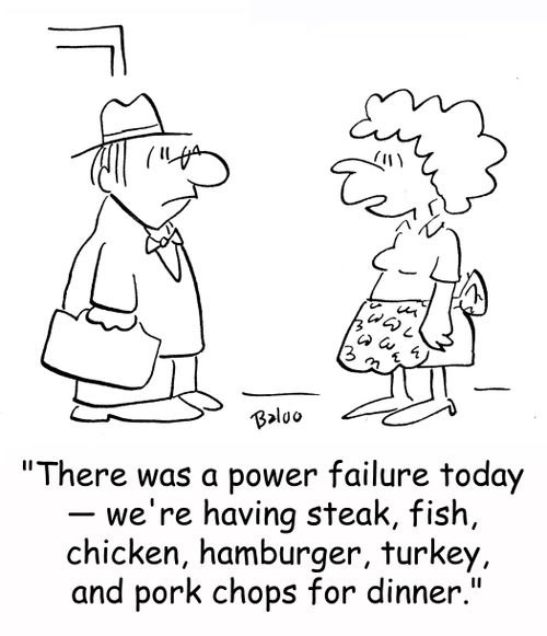 'There was a power failure today - we're having steak, fish, chicken, hamburger, turkey, and pork chops for dinner.'