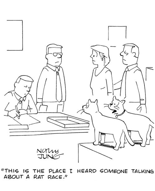 'This is the place I heard someone talking about a rat race.'