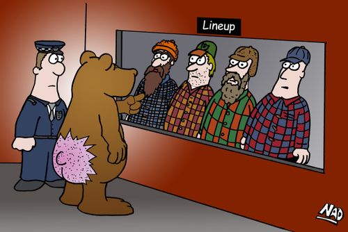 A bear points out the hunter who shot him in the bum in a police line-up