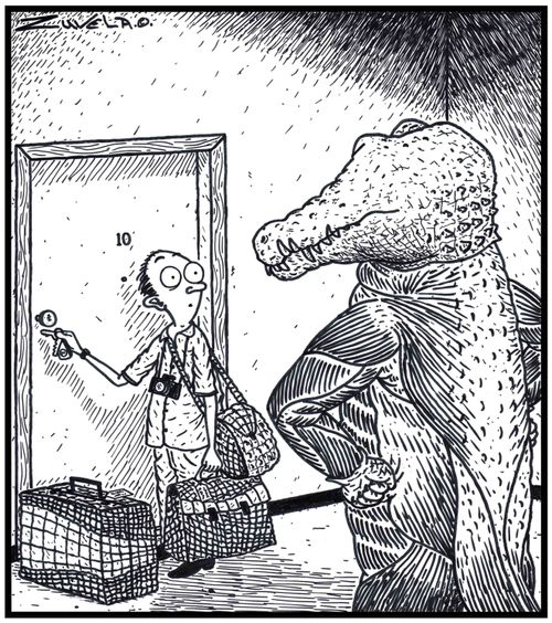 An angry skinless Crocodile has finally found the person who has his former skin used for bags and suitcases.