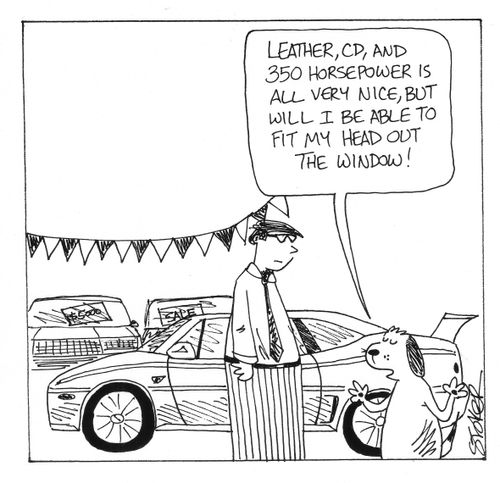 '...all very nice, but will I be able to fit my head out the window?'