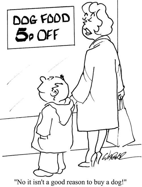 Dog food 5p off - "No, it isn't a good reason to buy a dog!"