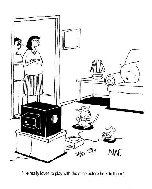 "He really likes to play with the mice before he kills them"