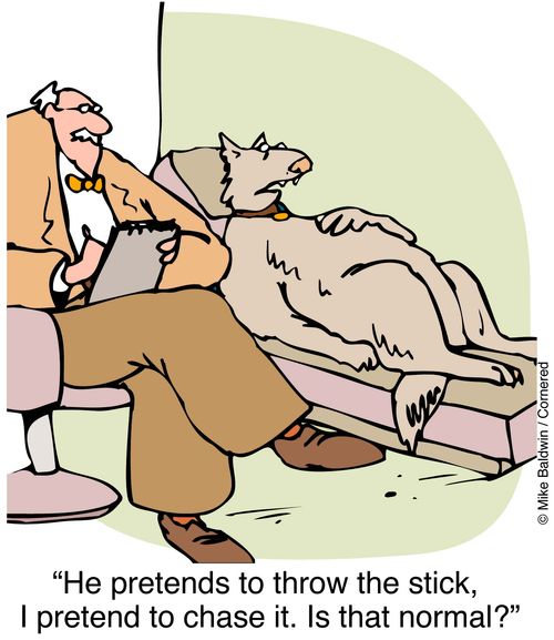 "He pretends to throw the stick. I pretend to chase it . Is that normal?"