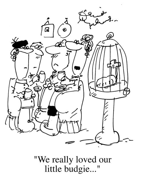 Headstone in bird cage, "We really loved our budgie.."